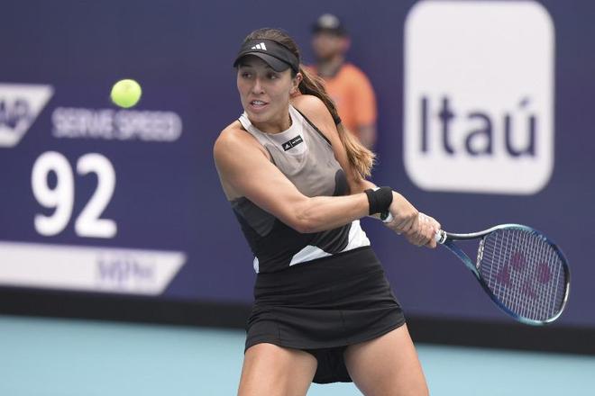 才华横溢的 才华横溢的