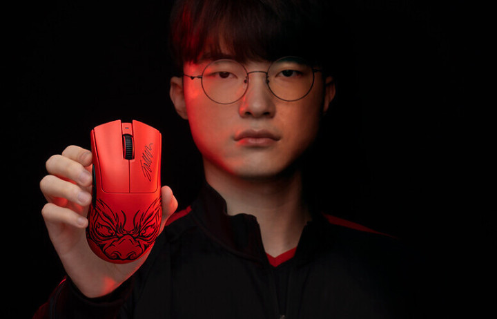 IP票的费 IP票的费