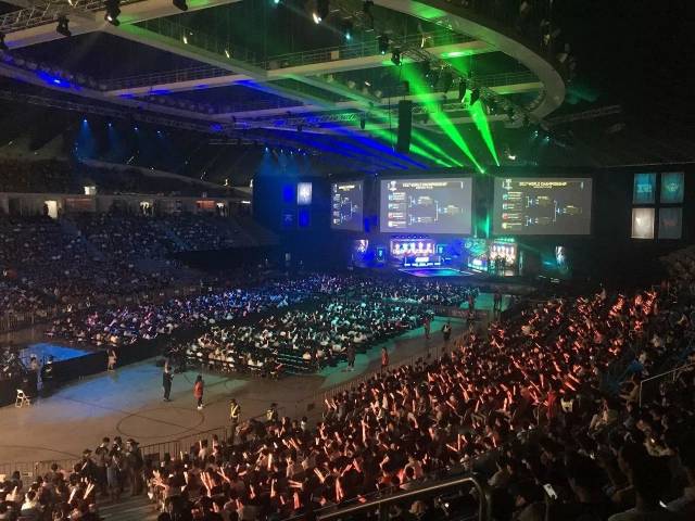 的成色为意 的成色为意