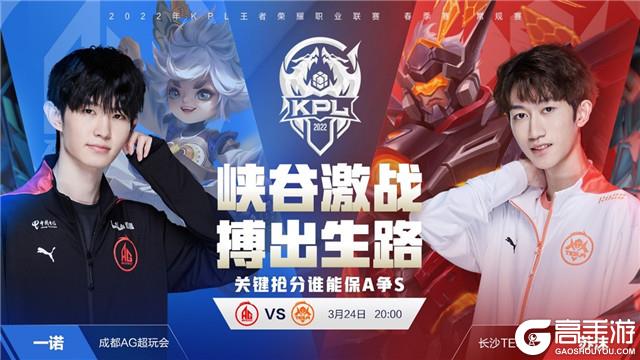 是一条高性 是一条高性